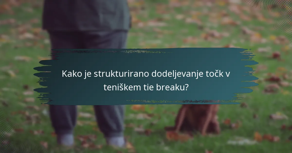 Kako je strukturirano dodeljevanje točk v teniškem tie breaku?