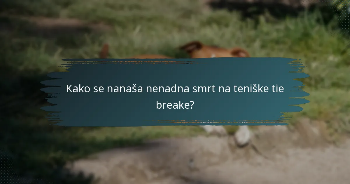 Kako se nanaša nenadna smrt na teniške tie breake?