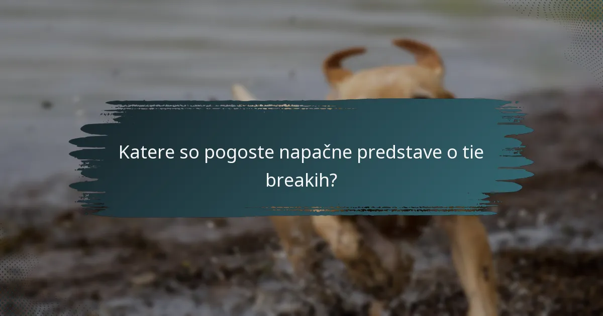Katere so pogoste napačne predstave o tie breakih?