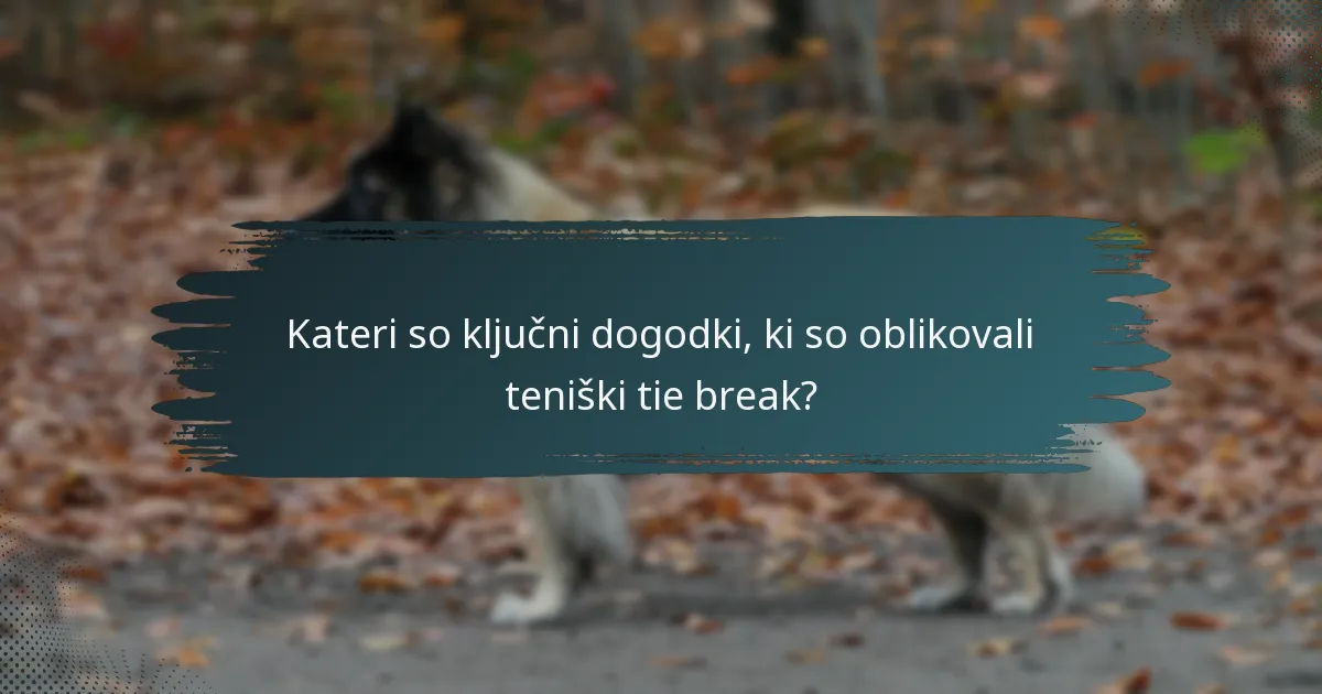 Kateri so ključni dogodki, ki so oblikovali teniški tie break?